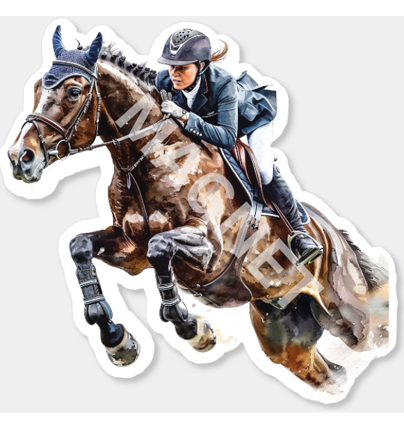 Car Magnet - English Rider Horse Jump Magnet - 6 x 5.81"